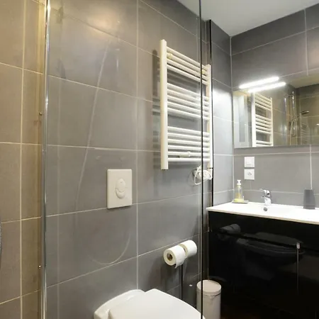 Apartment City Center - Gite Des Menetriers, Les Vieilles Vignes - Ribeauville (Haut-Rhin)